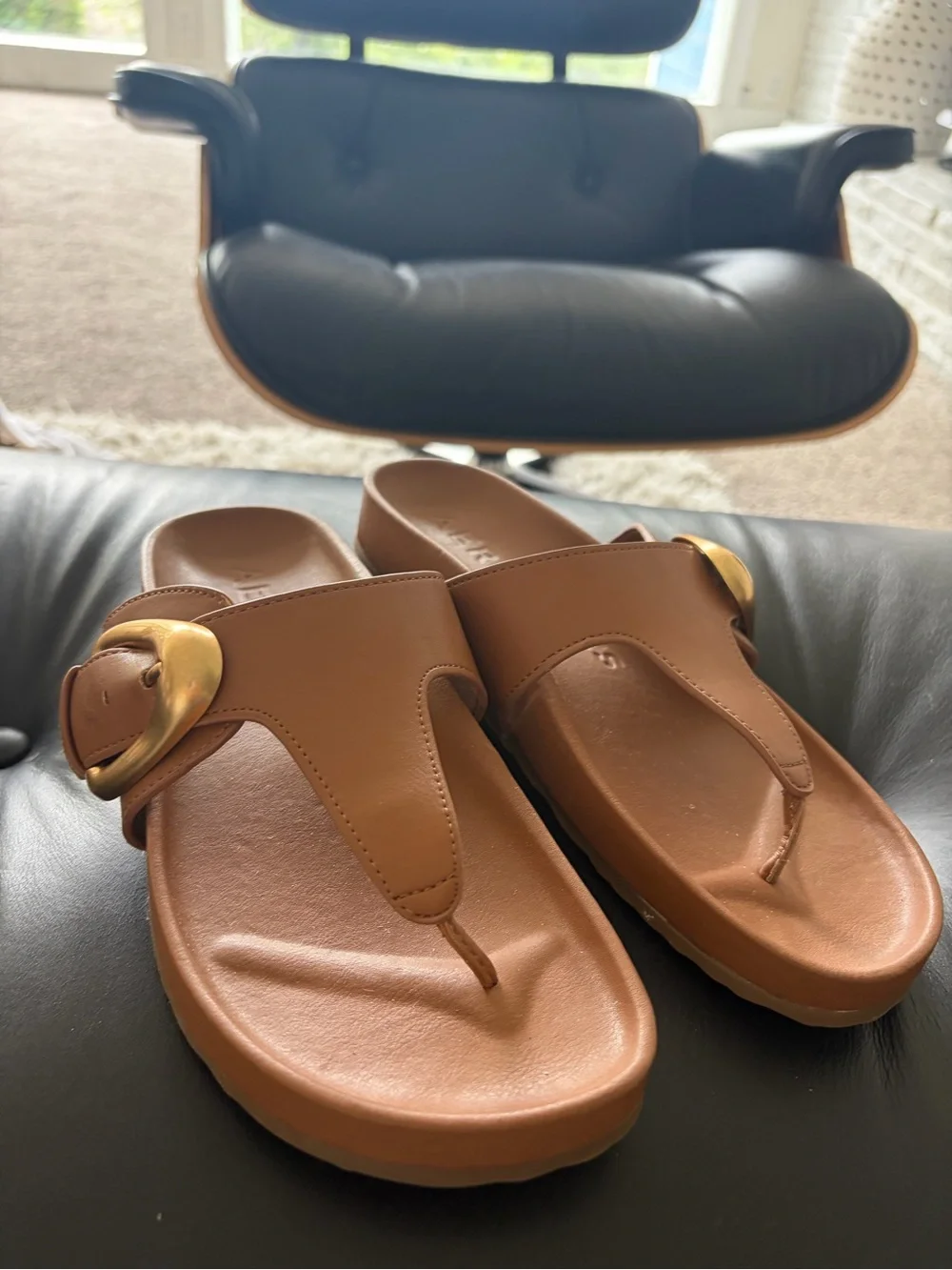 Brown  Toe-Post Sandals with Gold Buckle